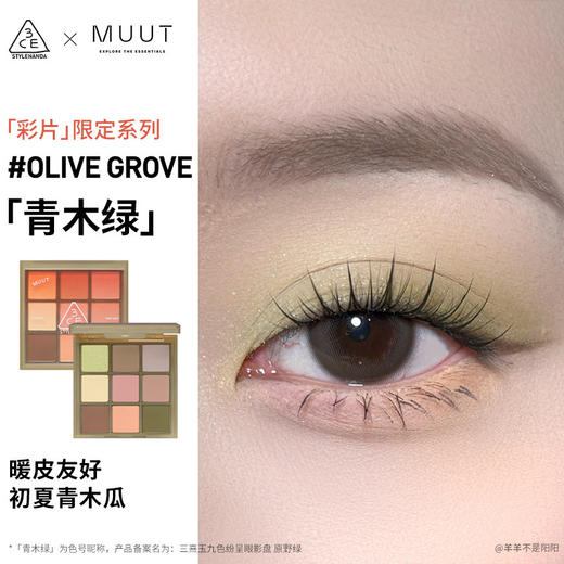 8809939536176 三熹玉3CE 【限定新色】九宫格眼影哑光裸粉棕细闪百搭日常高级初学者 商品图2