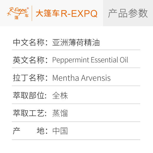 亚洲薄荷精油原料批发芳疗护理调香按摩本草精油Peppermint 商品图2