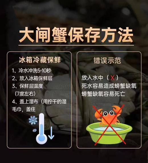 平望X老喫客大闸蟹1988型 商品图10