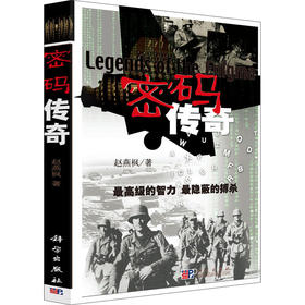 (按需印刷POD版)密码传奇