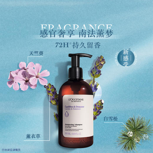 3253581768099 欧舒丹L'OCCITANE 【官方正品】控油蓬松去屑止痒持久留香大容量家庭装500ML 商品图1