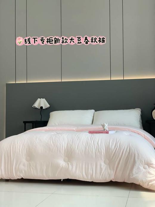 【多妈团购 水家大豆纤维抗菌被子（水家剪标款）】柔软舒适，透气轻盈，加了20大豆纤维 软软糯糯，绿色安全，抑菌防螨，A类母婴级用料，温暖舒服-圆圆家纺 商品图0