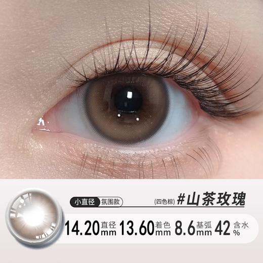 山茶玫瑰棕日抛十片装温柔自然14.2正常直径 商品图0