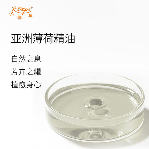 亚洲薄荷精油原料批发芳疗护理调香按摩本草精油Peppermint 商品图1