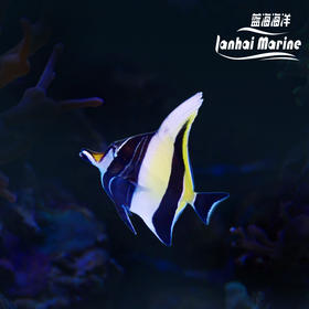 印尼神像