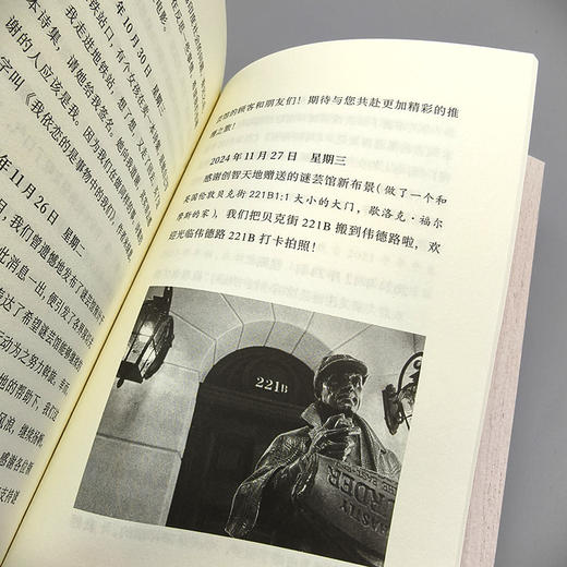 所有顽固的人（超20家主流媒体报道的上海推理主题独立书店生存实录。马伯庸喊话：谜芸馆，活下去！中国版《书店日记》） 商品图9