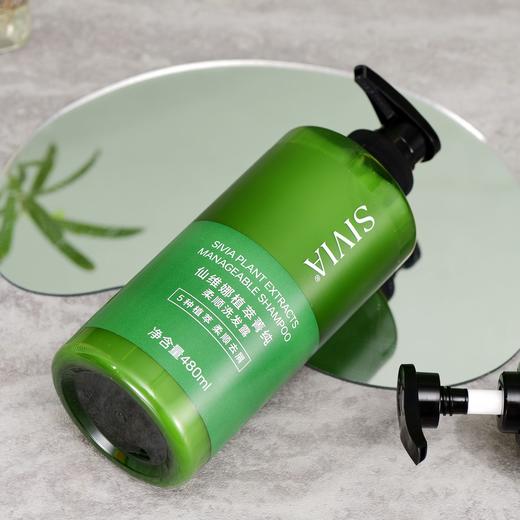 仙维娜 植萃菁纯柔顺洗发露 480ml/瓶 商品图2