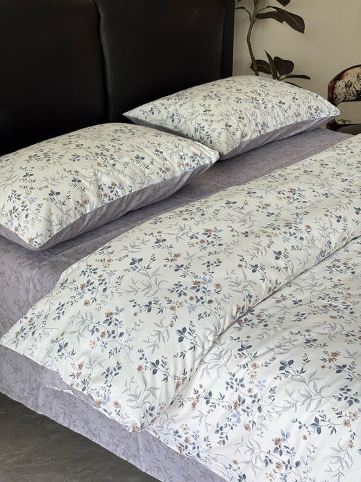 2025秋新款！40支全棉印花四件套 舒适淡雅精梳纯棉床上四件套 四季可用 商品图0