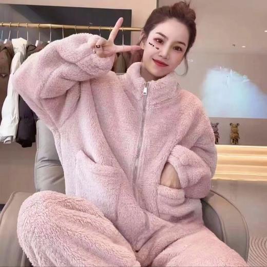 【松软保暖！不易掉毛】2025立领睡衣秋冬季家居服加厚套装高领可外穿女居家睡衣休闲睡袍。ha 商品图3