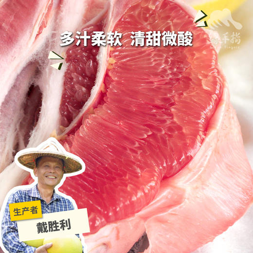 生态琯溪蜜柚（福建，圆通）| 合作生产 * Eco-red grapefruit | Coproduction 商品图0