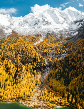 【四川】阿坝理小路·秘境秋色 6天5晚