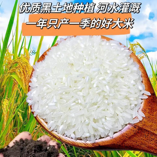 25年新米上市，中国地理标识产品，正宗核心产区五常稻花香米，谷粒现磨，米中贵族，皇家贡品有机认证，五常有机稻花香大米 原生态 不抛光 香味绵长 新米现磨  商品图0