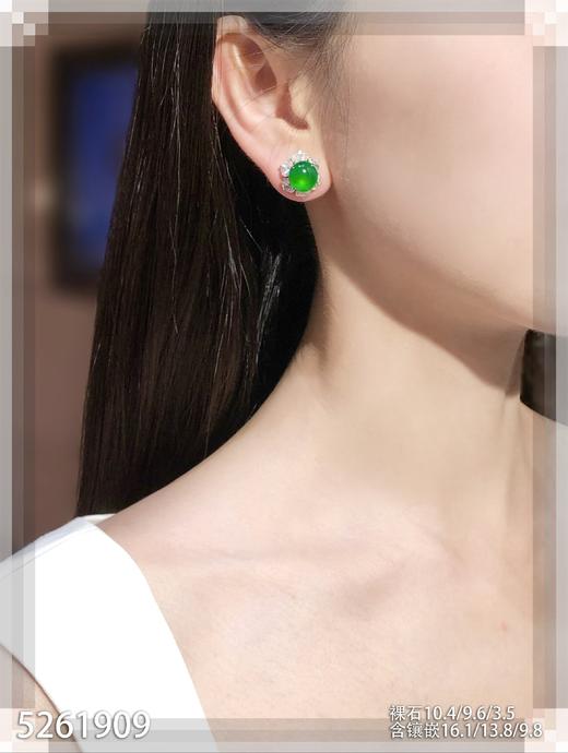 玻璃种帝王绿蛋面耳钉【5261909】具体价格微信咨询 商品图4
