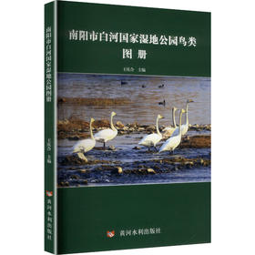 南阳市白河国家湿地公园鸟类图册