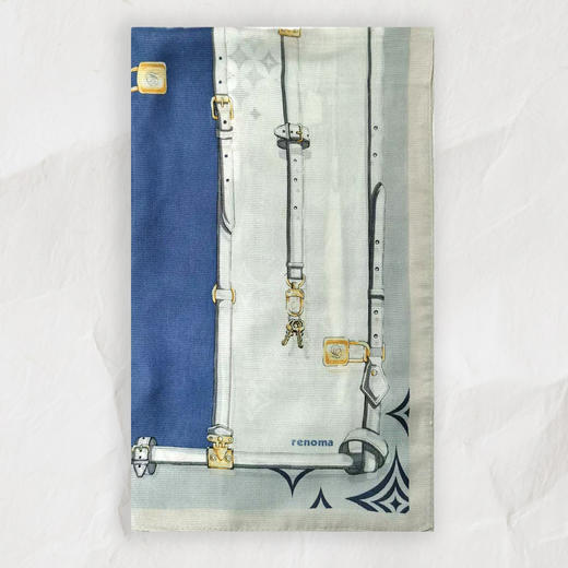 法国时尚品牌桑蚕丝长巾 商品图9