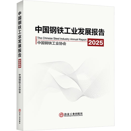 中国钢铁工业发展报告2025 商品图0