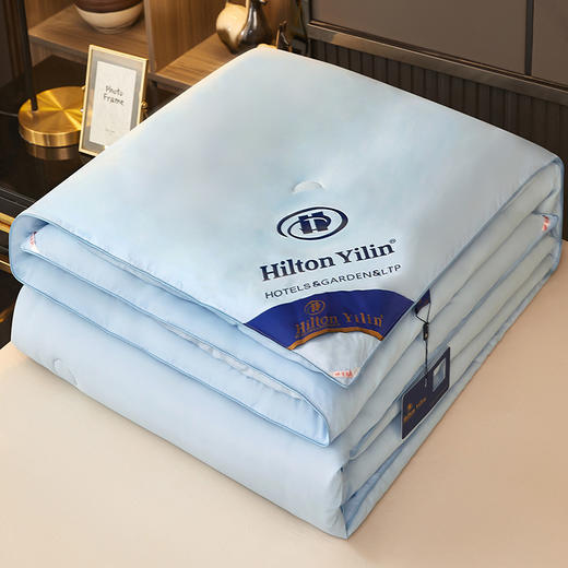 【一夜好眠的秘密🛌】希尔顿逸林同款蚕丝棉被✨四季适用，享受酒店级奢华睡眠❄️☀️匠心工艺不跑棉，舒适保暖不闷热！ 商品图9