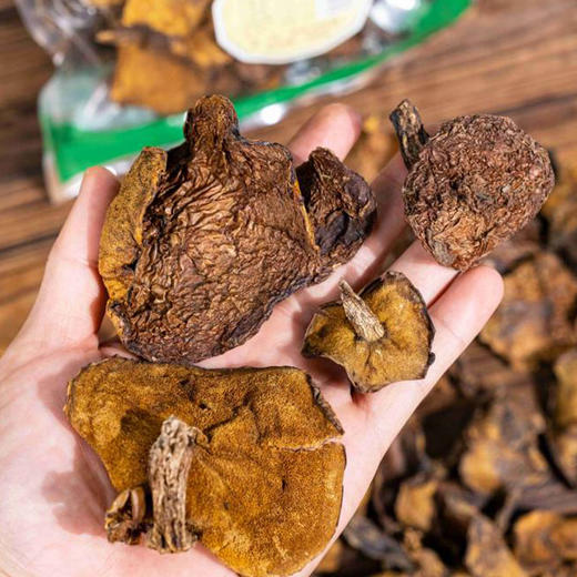 有机牛肝菌100g东北有机菌菇干货特产包邮 商品图5