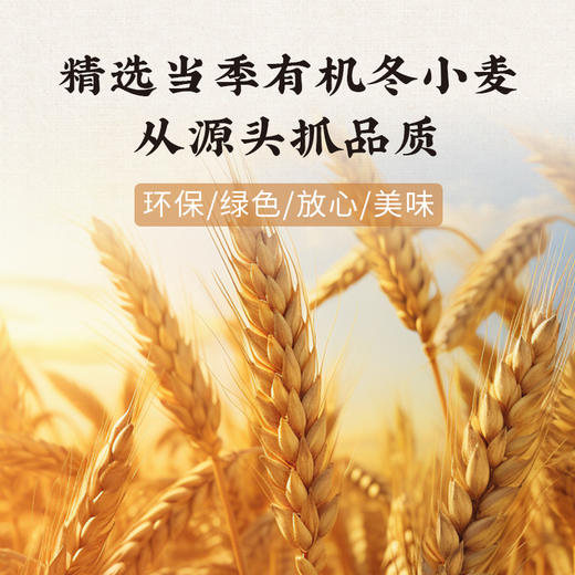 酱香小笼包/净素 有机面粉/顺丰冷链包邮/手工 【一穗堂】 商品图1