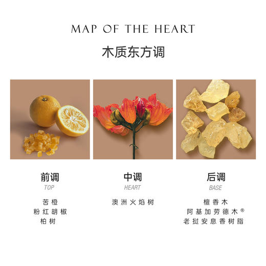 Map Of The Heart心之地图 V.8 Abundance丰盈淡香精EDP中性 木质东方调 商品图2