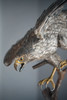 独角鹿西洋古董20世纪美国当代艺术家Gil “Levi Hawk” Melton签名创作出品“速度与激情”飞禽系列木质底座装饰雄鹰造型金属雕塑 商品缩略图4