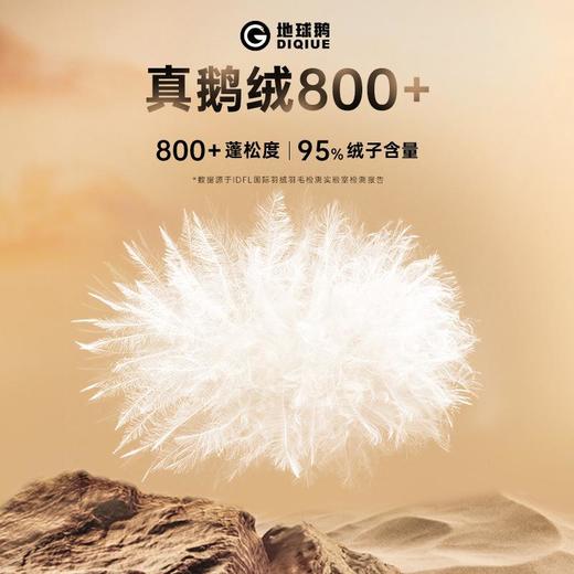 【黑金极寒】鹅绒男款羽绒服长款冬季防寒衣哈尔滨超厚极寒东北款 商品图2