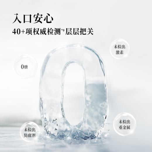 红参双胶肽饮 商品图3