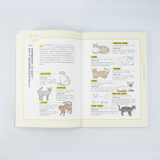 与猫同住:铲屎官的幸福养猫指南 商品图3