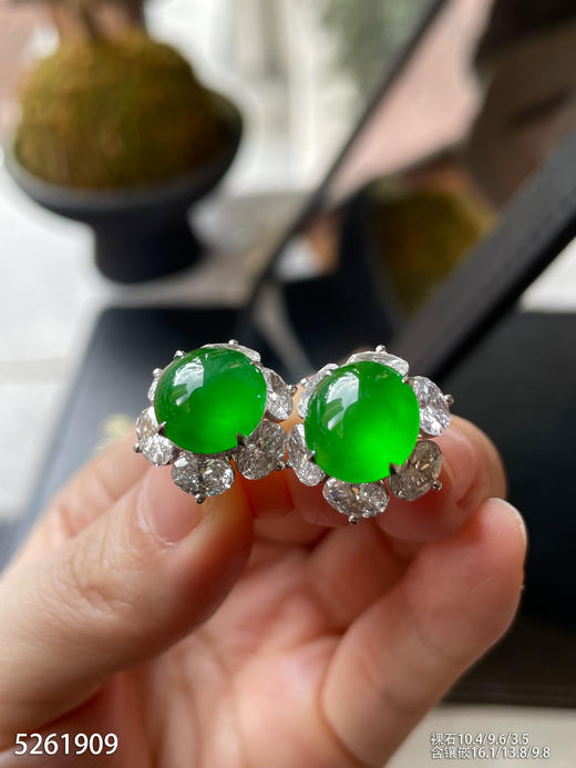 玻璃种帝王绿蛋面耳钉【5261909】具体价格微信咨询 商品图0