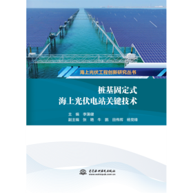桩基固定式海上光伏电站关键技术（海上光伏工程创新研究丛书）