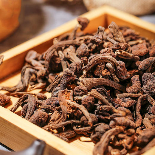 东北有机榛蘑丁100g有机菌菇干货特产包邮 商品图3