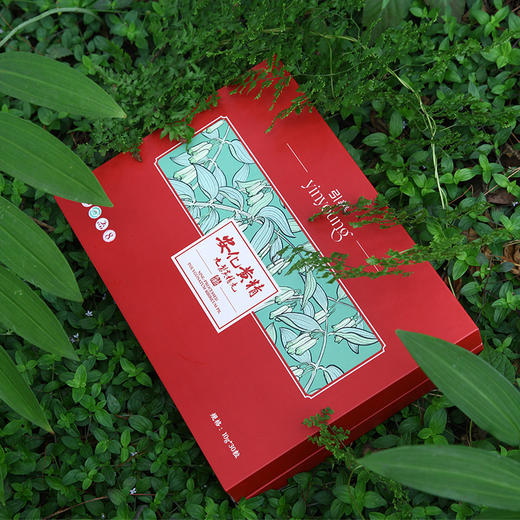 安化多花黄精九制黄精丸10g*30粒/冰碛岩8年仿林下野生种植 商品图1