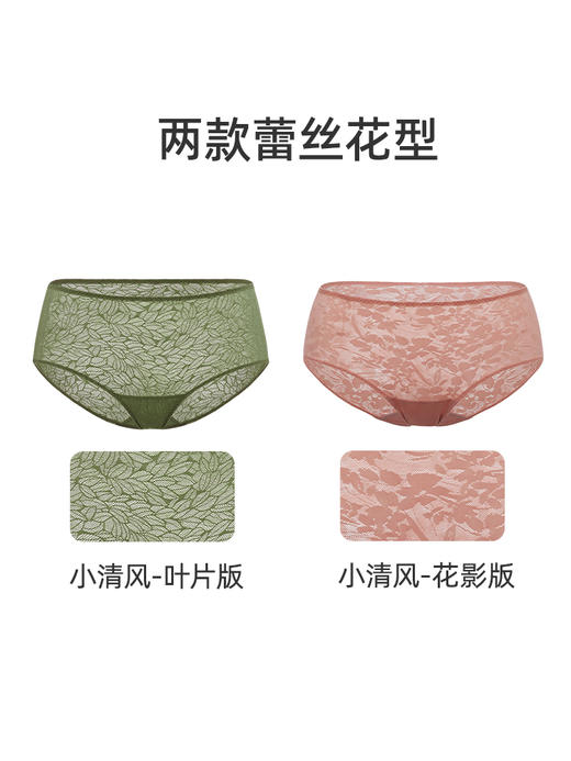 【小清风花影版】遐中腰蕾丝内裤女轻薄速干高弹包臀不夹臀纯棉裆平角裤 商品图3