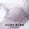 朦胧花影 文胸(VIP)【桑蚕丝莫代尔养肤】小胸聚拢防下垂收副乳调整型内衣 商品缩略图5
