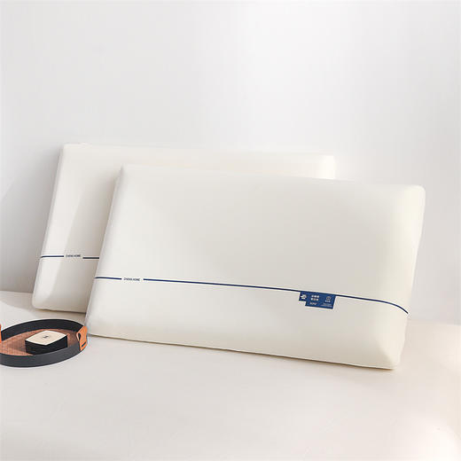 【“颈椎SPA” 绵软Q弹 云感裸肌】星级酒店同款设计深睡记忆枕（低中高三款可选） 商品图6