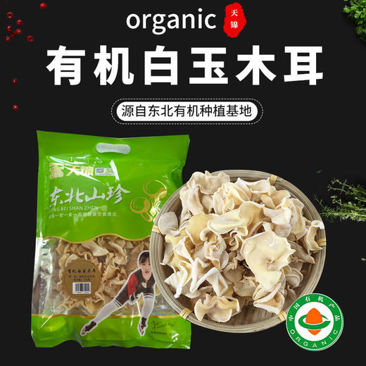 有机白玉木耳100g东北有机菌菇干货肉质醇香包邮 商品图0