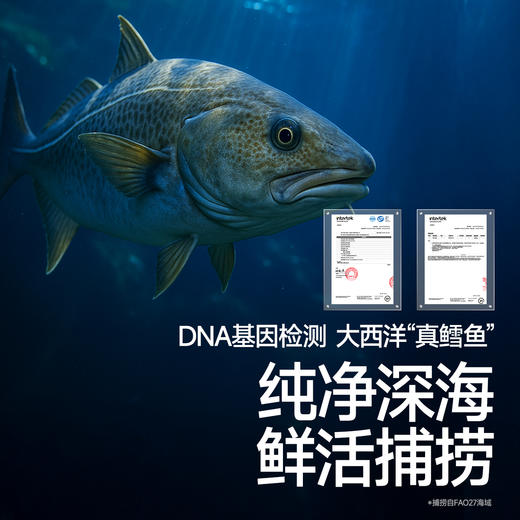【真鳕鱼家族系列】【冷链】大西洋真鳕鱼丁200g*2，叠加店铺满赠，不叠加满减和会员折扣 商品图1
