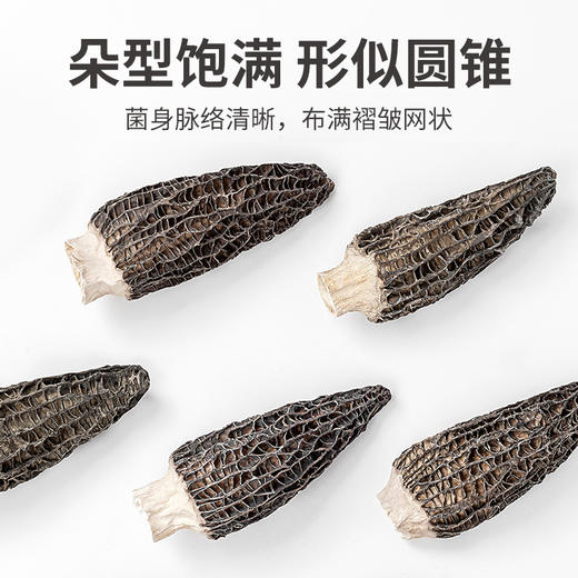 方家铺子 羊肚菌60g/瓶装 商品图8