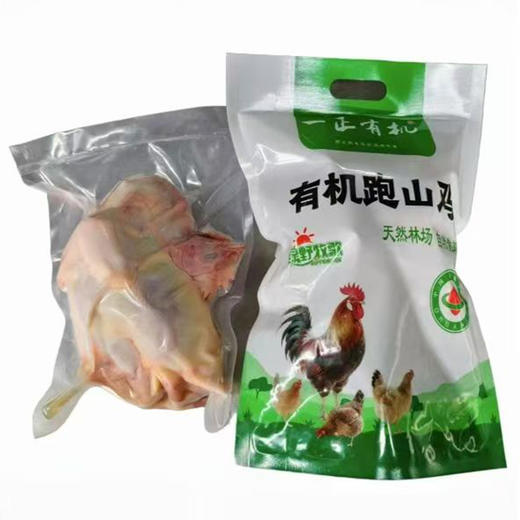 有机跑山鸡 （山东）| 散养于有机农牧场的原生态山林中 商品图6