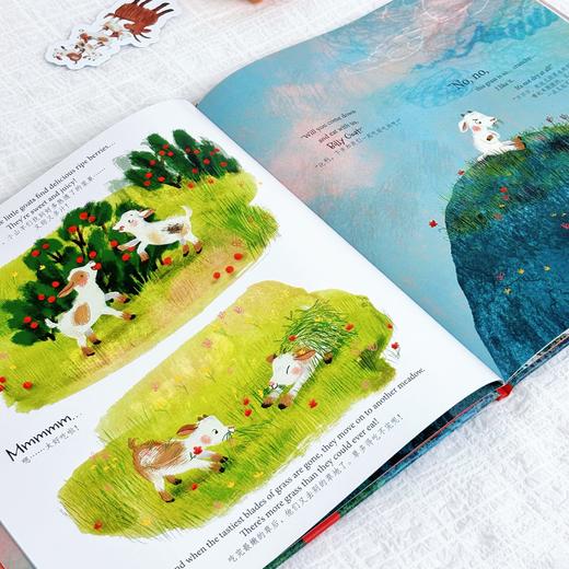 【Clavis】双语绘本第一辑 商品图6