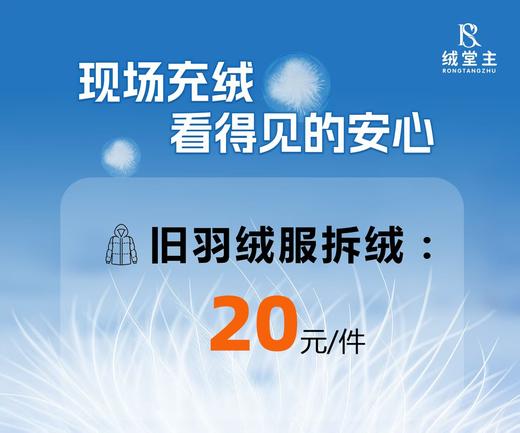 10楼 绒堂主 旧羽绒服拆绒 20/件 商品图0