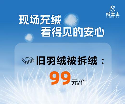 10楼 绒堂主 旧羽绒被拆绒 99/件 商品图0