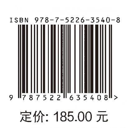 白鹤滩水电站安全监测工程（金沙江白鹤滩水电站工程建设管理丛书） 商品图4