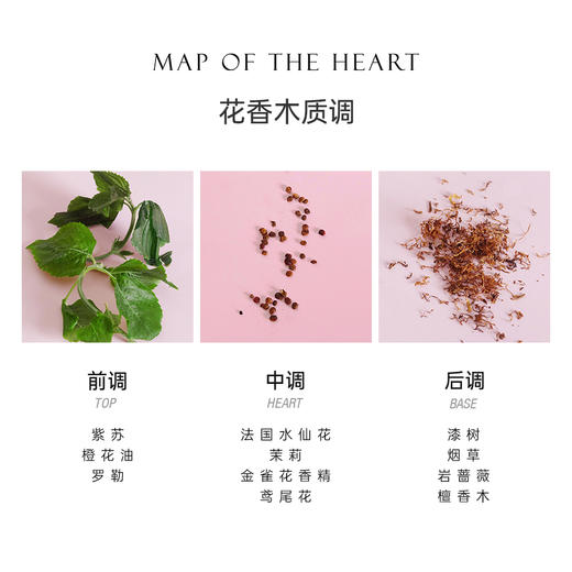 Map Of The Heart心之地图 V.6 Ecstasy欣喜淡香精EDP中性 花香木质调 商品图2