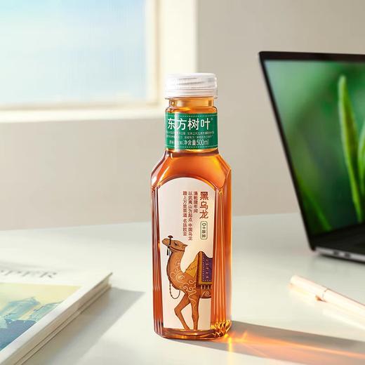 东方树叶黑乌龙500ml 商品图2