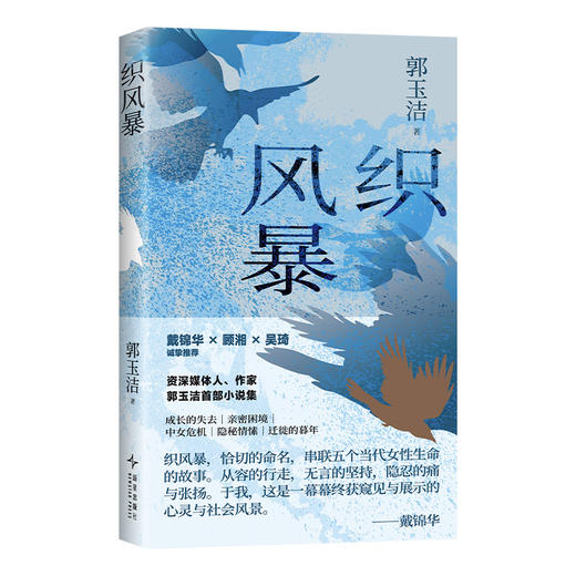 织风暴 商品图4