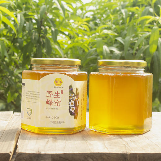 包德安 野生蜂蜜960g*1瓶【放心甄选】 商品图2