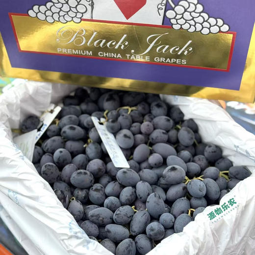 1️⃣卡乐红无籽红提，特别新鲜，脆口浓甜！
2️⃣神秘梦境无籽黑提，酥脆纯甜的口感！能吃出嘎嘣脆响来！ 商品图3