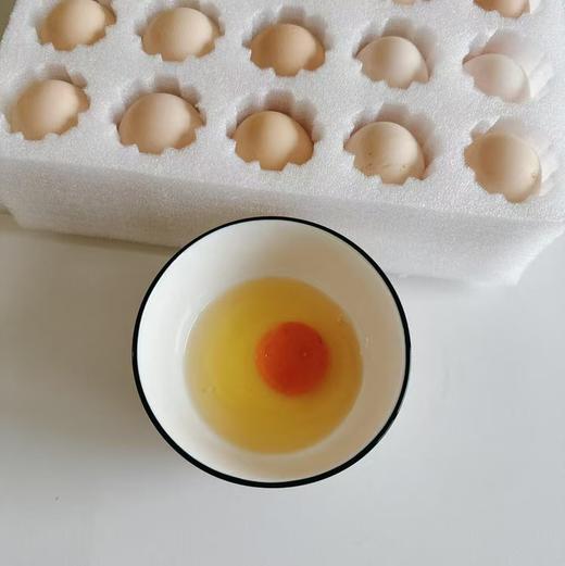 【一周发一次】【竹林散养土鸡蛋】竹林散养刨刨鸡 蛋清浓稠 蛋黄密度结实 个头均匀 商品图11