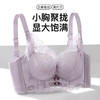 朦胧花影 文胸(VIP)【桑蚕丝莫代尔养肤】小胸聚拢防下垂收副乳调整型内衣 商品缩略图0
